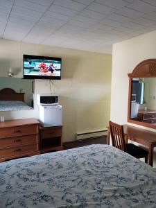 尼亚加拉瀑布奥林匹亚汽车旅馆的一间卧室配有一张床和一台平面电视