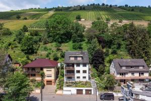 NiederheimbachRheintal-Ferien - 90 qm Ferienwohnung mit Wine & Style - Dein Urlaub am Rhein的享有房屋和葡萄园的空中景致