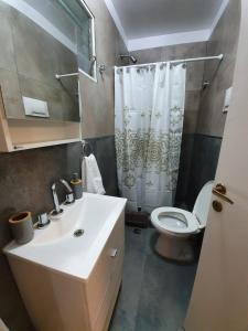 卢汉NidoAparte Departamento Lujan Centro的一间带水槽、卫生间和淋浴的浴室