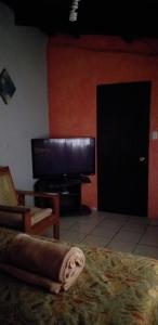 康塞普西翁德阿塔科Portal de los Farolitos的客厅配有平面电视和沙发。
