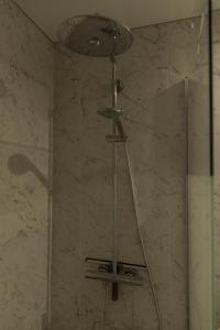 阿威罗Sal, Terra e Mar的浴室内配有淋浴和头顶淋浴