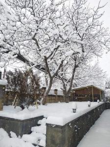 叶海格纳佐尔Guest house Nataly的围栏旁的雪覆盖的树