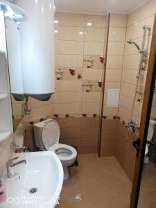 代温Апартамент Рая的浴室配有卫生间、盥洗盆和淋浴。