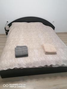 代温Апартамент Рая的床上有2个枕头