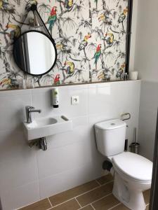 图尔Hôtel Saint Eloi的浴室设有卫生间、镜子和水槽