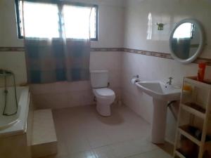 Impeccable 2-Bed Apartment in Kumasi Ashanti的一间带卫生间、水槽和镜子的浴室