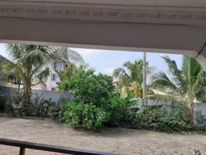 Impeccable 2-Bed Apartment in Kumasi Ashanti的从棕榈树建筑的阳台上可欣赏到风景