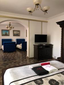 苏普拉希尔Apartament Maria的客房设有一张床和一台平面电视。