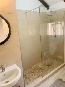 比勒陀利亚The Loft@Santorini的一间带卫生间的浴室内的玻璃淋浴间