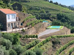 梅桑弗里乌Casa da Oliveira的山丘上一座带游泳池的房子的图象
