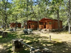 El CabacoCamping Las Cavenes的树林中的小屋,前面设有野餐桌