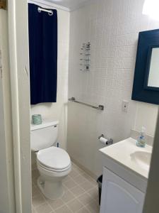 Carp LakePure Paradise Resort的浴室配有白色卫生间和盥洗盆。