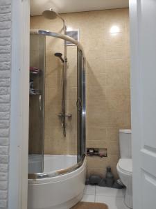 克里沃罗格New apartments Уютная студия в центре города Дзержинка的带淋浴和卫生间的浴室