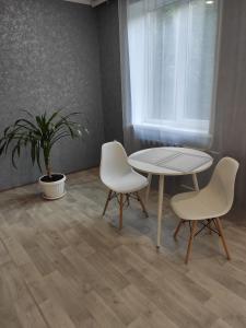 克里沃罗格New apartments Уютная студия в центре города Дзержинка的桌子和两把椅子,桌子和植物