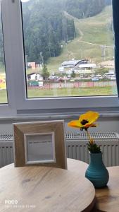 别拉什尼察Snjezna pahuljica的窗边桌子上的一个花瓶中的黄花