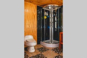 特木科Cunco casa de campo的一间带卫生间和淋浴的浴室