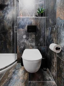 韦尔卡鲁穆尼卡TatryView Apartments by KingDubaj的一间带卫生间和浴缸的浴室