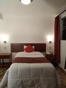 马丘比丘Viandina Machupicchu的一间卧室配有一张带红色枕头的大床