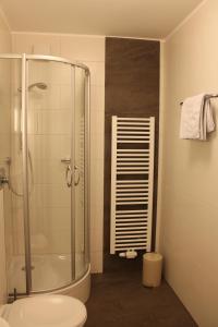 纽伦堡Hotel Höfler B&B的一间带玻璃淋浴和卫生间的浴室