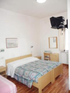 巴迪亚普拉塔基利亚Albergo Giardino的卧室配有一张床,墙上配有电视。
