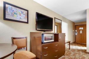 拉皮德城Econo Lodge Black Hills的酒店客房的梳妆台上配有电视