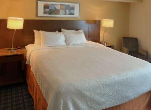 安克尼Comfort Inn & Suites Ankeny - Des Moines的一张大床,位于酒店带两盏灯的房间