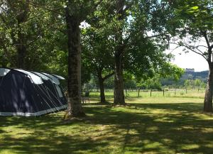 BoisseuilhCamping Belle Vue的田野树荫下的帐篷
