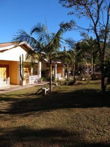 圣弗朗西斯科泽维尔Pousada Morena SFX的院子里有棕榈树的房子