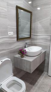 库塔伊西Elegant Hotel的一间带水槽、卫生间和镜子的浴室