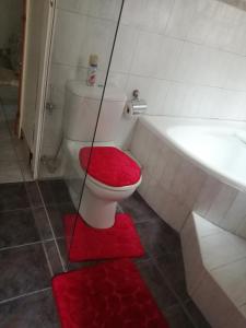 派恩敦Lytton Cresent B&B的一间带红色座椅卫生间的浴室