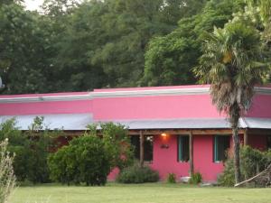 拉斯弗洛雷斯Casa de Campo La Colorada的一座粉红色的房子,前面有一棵棕榈树