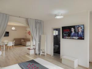 奥罗塞伊Romantico open space Luna的客厅配有沙发和墙上的电视