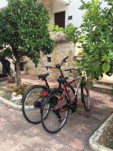 巴里La Casa di Emanuella - Rooms & International Suites的两辆自行车停在路边,彼此相邻