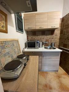 伦布尔克Studio Colonial的一间带水槽和微波炉的小厨房