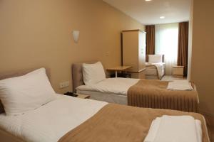 伊斯坦布尔卡德柯伊圣母酒店的酒店客房配有两张床和一张书桌