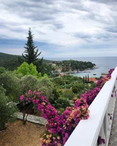 卢什蒂卡Casa di Zanjic的俯瞰大海的阳台上的一排鲜花