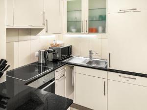 楚格ARISER - Mountain View Business Apartment的白色的厨房配有水槽和微波炉