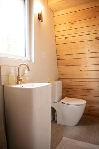 讷沙泰勒阿尔代洛Bain de forêt - Lodges Cosy & Spa的一间带卫生间和水槽的浴室
