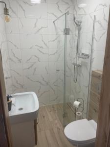 奇普Urocze Apartamenty LOFT przy Molo的带淋浴、卫生间和盥洗盆的浴室