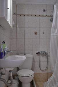 特里波利斯tripoli center apartment的浴室配有卫生间、盥洗盆和淋浴。