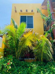 巴拉德纳维达Villa La Joya的一座棕榈树的黄色建筑