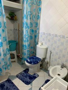 艾兹鲁Cozy Home in Azrou的一间带卫生间和水槽的浴室
