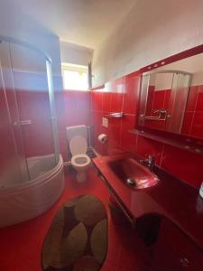IsvernaAgropensiune Turistica Maria的红色的浴室设有卫生间和水槽