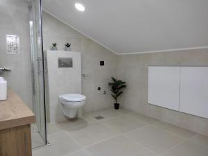 阿然德洛维克Sky Luxury的白色的浴室设有卫生间和淋浴。