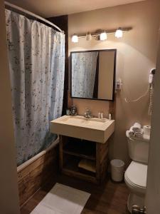 Saint-FaustinLe Lodge du lac的一间带水槽、卫生间和镜子的浴室