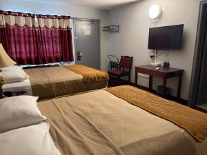 鲍曼维尔自由汽车旅馆的酒店客房设有两张床、一张桌子和一台电视。