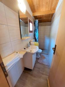 Gornji HumacVala Hrvaska Robinson的一间带水槽、卫生间和镜子的浴室