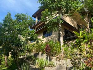 涛岛龟岛高地独家公寓的被树木和植物所环绕的房子