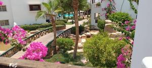 沙姆沙伊赫Deluxe Apartment Delta Sharm的花园里的一条人行道,花朵粉红色