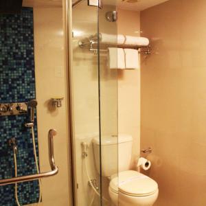 索兰Hotel Tip Top的一间带卫生间和玻璃淋浴间的浴室